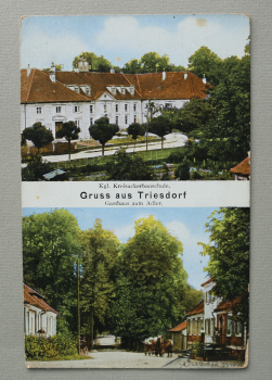 AK Gruss aus Triesdorf / 1920-1940 / Mehrbildkarte / Kgl Kreisackerbauschule / Gasthaus zum Adler